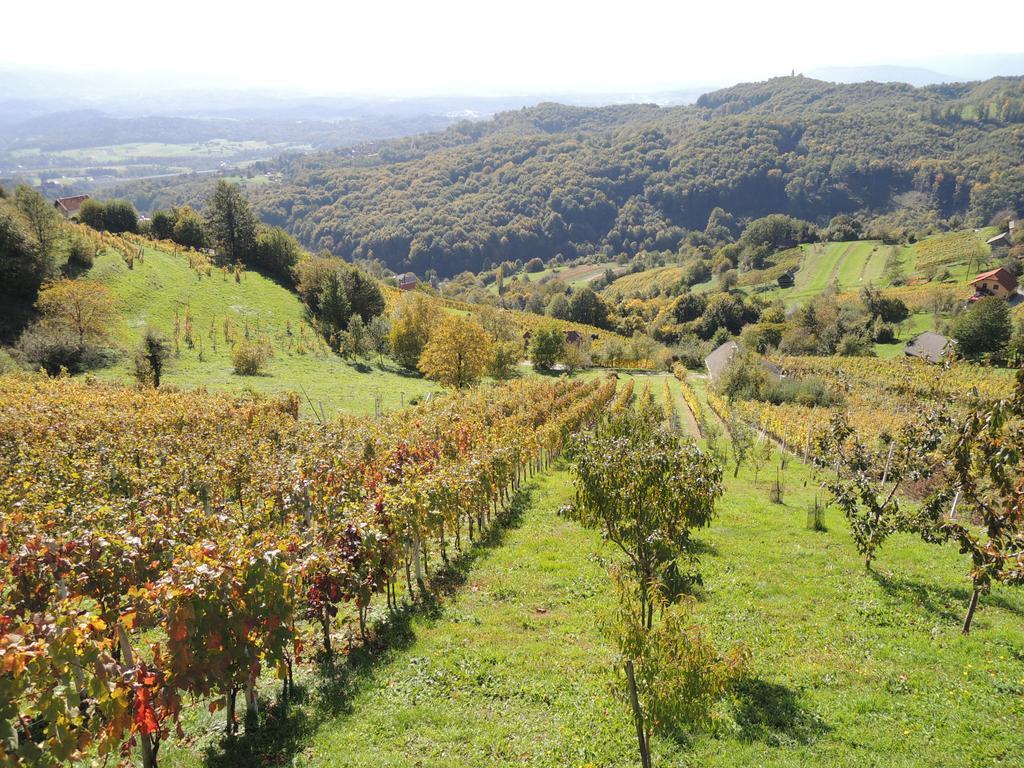 Vineyard Cottage Janko & Metka Оточець Екстер'єр фото